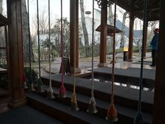 -思念果岭悦温泉