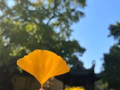 -惠山古镇·寄畅园