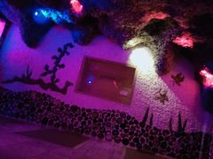 -碧中海汤泉汗蒸酒店