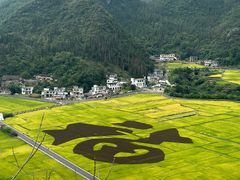 -万峰林风景区