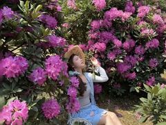 -名花谷生态庄园