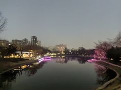 -渭滨公园