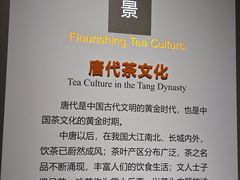 -中国茶叶博物馆(双峰馆区)