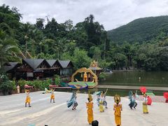-西双版纳原始森林公园