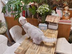 -小时光咖啡馆(北锣鼓巷店)