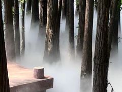 -东湖落雁景区