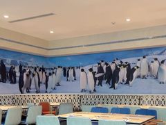 -帝企鹅自助餐厅•儿童岛•真企鹅(长隆企鹅酒店)