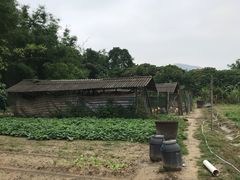 -丰依竹食·老牌竹筒饭