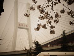-上海南浦大桥长途旅游客运站