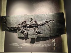 -贵州省地质博物馆