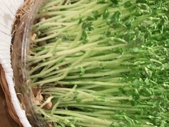 -好彩猪肚鸡(正弘城店)