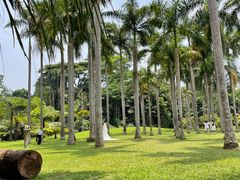 -中国科学院西双版纳热带植物园