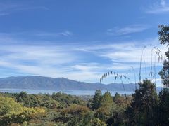 -蝴蝶泉公园