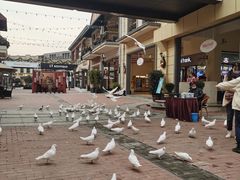 -王府井奥莱临潼小镇(临潼店)