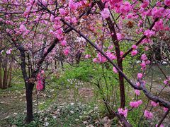 -绿岛公园(滨海新区)