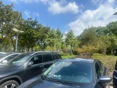 -上海中医药大学附属曙光医院(东部)