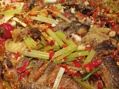 -老板恋上鱼(恒隆广场店)