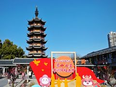 -红梅公园