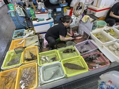 -老字号蛇口德记烧腊饭店·海鲜加工
