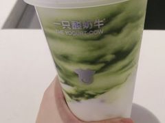-一只酸奶牛(曲江龙湖星悦荟店)
