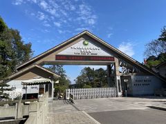 -中国大熊猫保护研究中心雅安碧峰峡基地