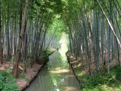 -同里国家湿地公园