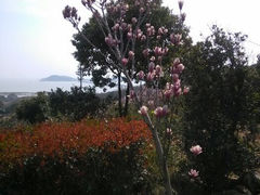 android_upload_pic-太湖渔洋山