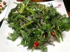 -全乐鱼馆·淳牌有机鱼直营店