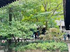 -沣峪森林公园龙潭戏水景区