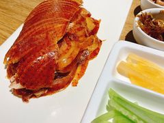 -小大董·烤鸭(五棵松店)