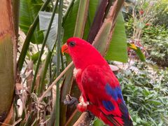 -南宫五洲植物乐园