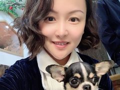 -藦茜花园宠物主题亲子互动体验馆(国顺东路店)
