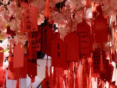 -合风谷(南下塘店)