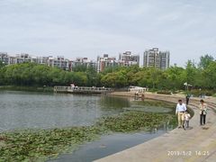-新江湾城公园