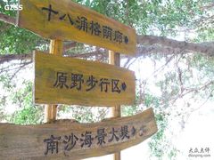 -大湾区中央湿地公园