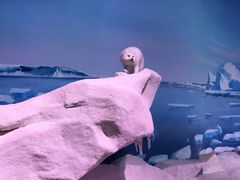 -贝林大翅鲸简餐厅(国家海洋博物馆店)