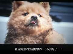 -卢米埃影城(住总万科杜比全景声激光店)