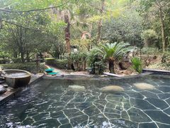 -明月山天沐温泉度假村