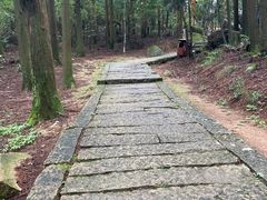 -玉苍山国家森林公园
