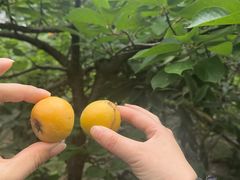 -广元千佛崖