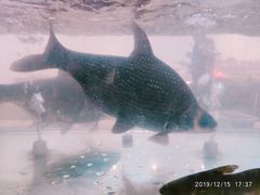 -小乡小镇·传承桐庐土菜·老板亲自烧的菜