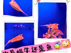-正佳极地海洋世界