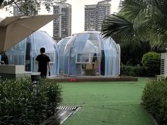 -海底捞火锅(龙岗星河COCO Park店)