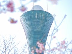 -狐尾山公园