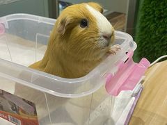 -雨林宠物医院 非犬猫异宠专科