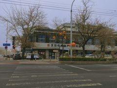 -洪记白水羊头(天坛店)