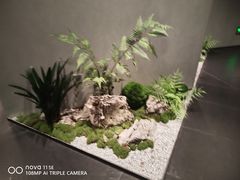 -茶人村·前滩江景雅宴(上海首店)