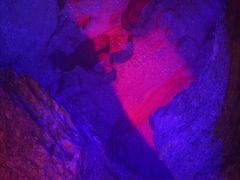 -寻龙山风景旅游区