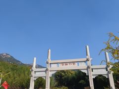 -小媳妇铁锅炖鱼(世博园店)