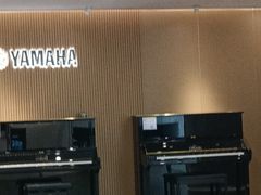 -雅马哈乐器专卖店(广州旗舰店)